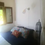 Little Hut Do Sul